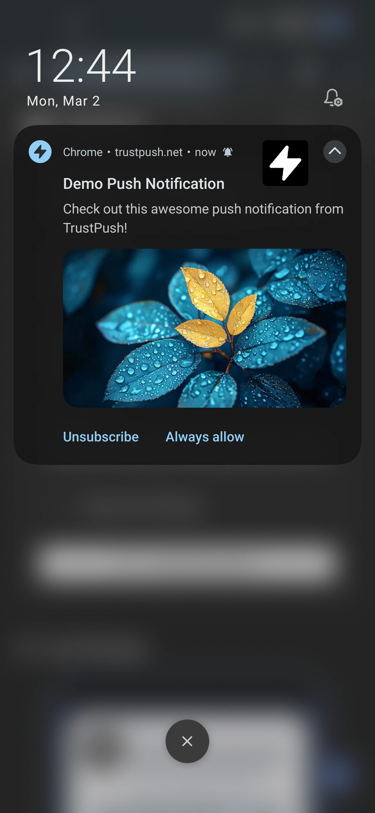 How to Not Trigger the Chrome's Spam Filter and Deliver Your Notification 4 12748