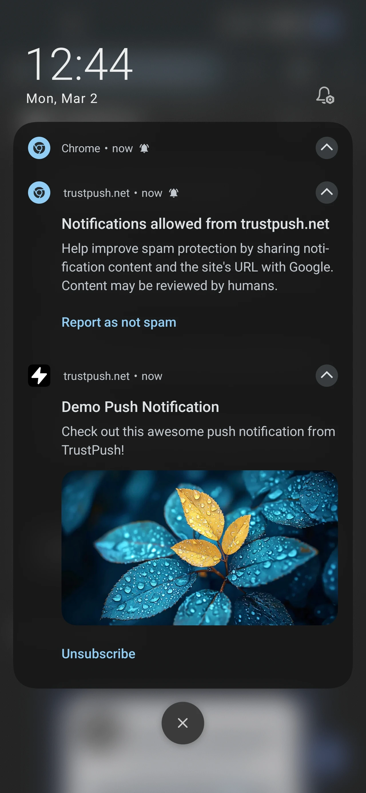 How to Not Trigger the Chrome's Spam Filter and Deliver Your Notification 5 12749